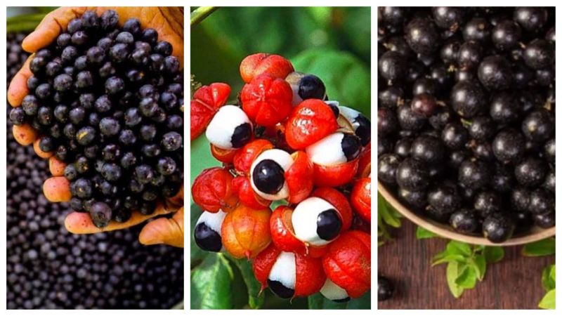 frutas