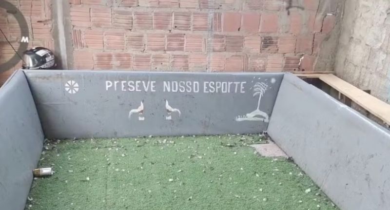 Foto_ Divulgação