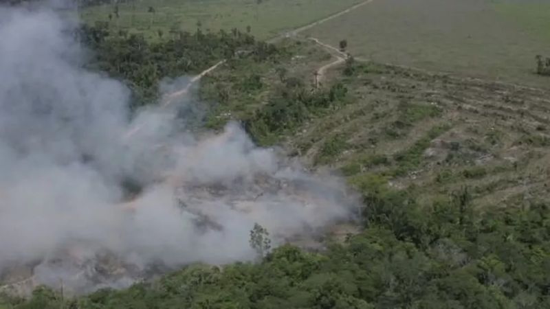 fogo (5)