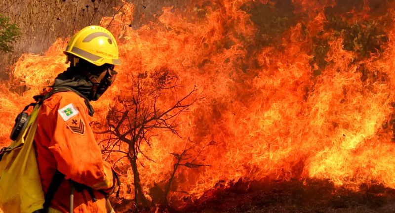 incendio (4)