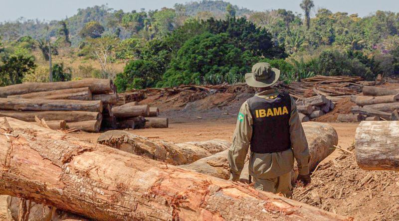 Ibama-Fiscalização (1)