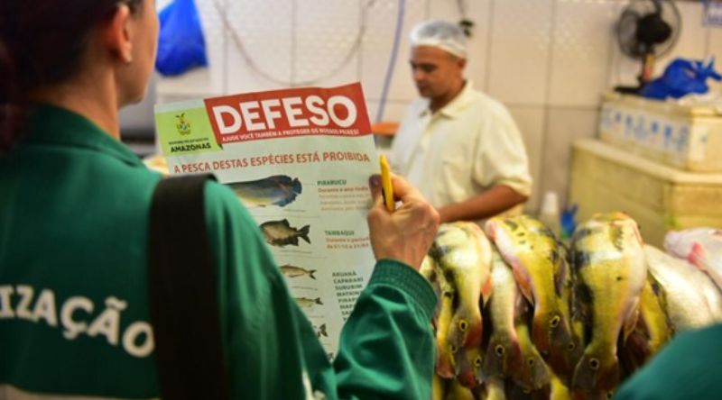 Ipaam_Período de defeso