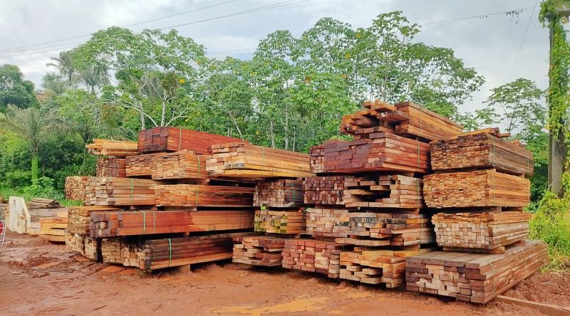 Foto_ Divulgação_PMAM