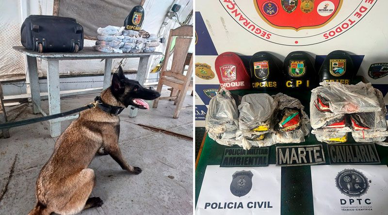 Foto_ Divulgação_SSP-AM 2