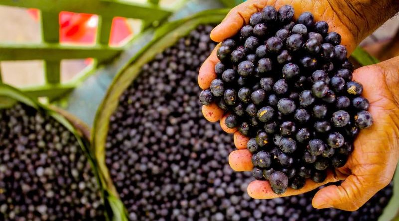 Açaí