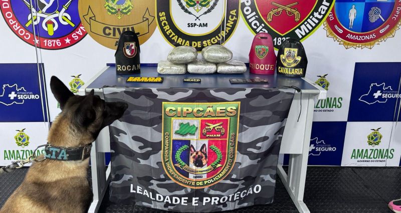 cipcaes
