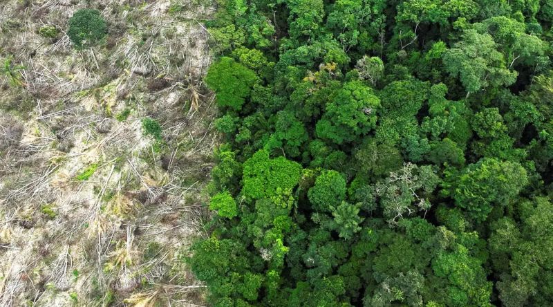 Amazônia