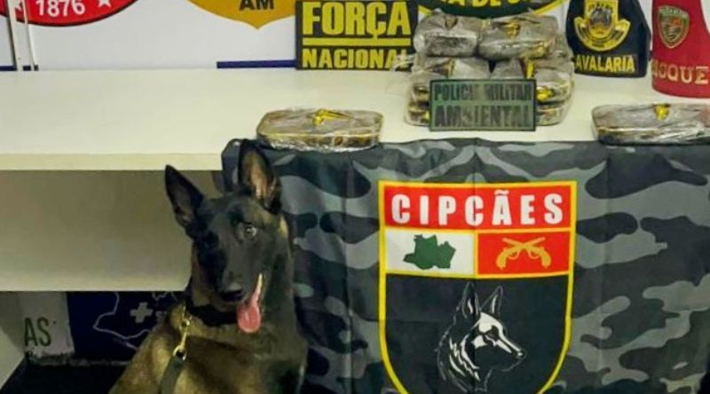 Foto_ Divulgação_ SSP-AM