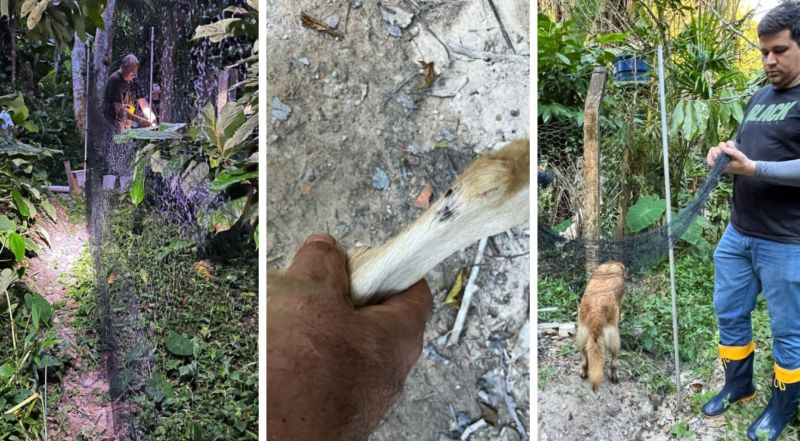 Fotos_ Divulgação _ Semsa