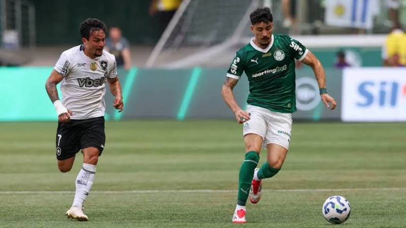 Palmeiras e Botafogo