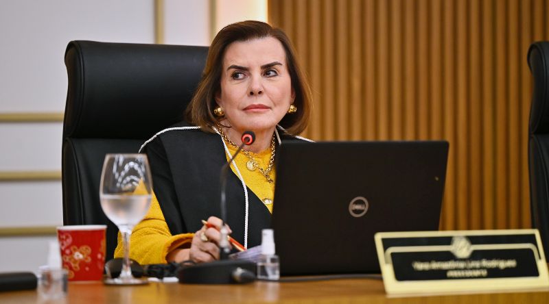 Yara Amazônia Lins, Tribunal de Contas do Amazonas, Correio da Amazônia