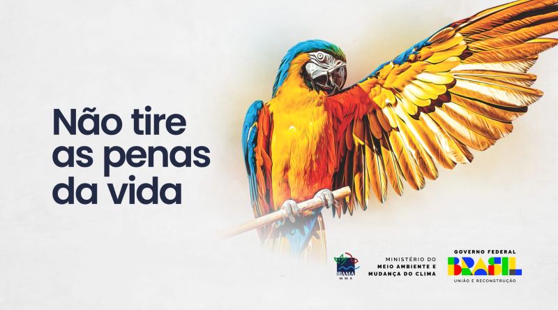 campanha