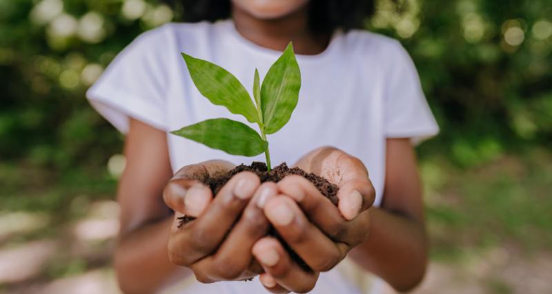 Prevent global warming, girl planting a small tree