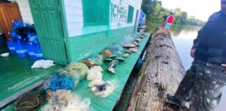 ICMBio apreende 24 quelônios durante operação em reserva no Amazonas