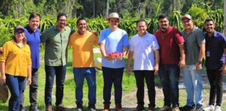 Renato Junior visita plantação de pitaya com 30 mil mudas no ramal do rio Branquinho