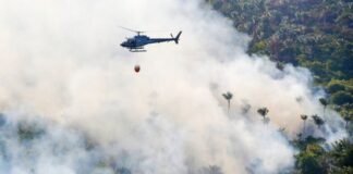 Ministério Público acompanha ações contra queimadas em Barreirinha