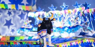 Mini Caprichoso comemora mais um título de campeão do Festival dos Bois em Miniatura