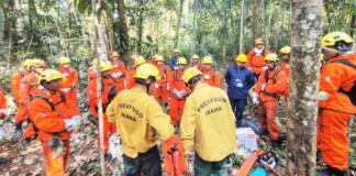 Brigadistas do Prevfogo no Amazonas recebem curso para uso seguro de motosserras