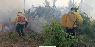 Mais de 30 brigadistas enfrentam fogo subterrâneo na TI Tenharin Marmelos