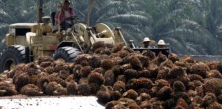 Indonésia pede à UE que elimine tarifas sobre biodiesel após decisão da OMC