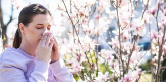 Rinite, sinusite e asma: cuidados essenciais para enfrentar as alergias na primavera