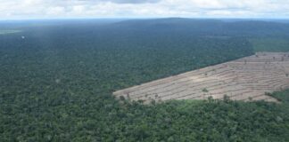 Amazônia tem queda recorde de desmatamento, mas migra para áreas privadas