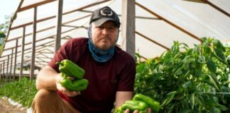 Parintins produz o seu próprio pimentão e hostaliças cultivados na estrada da Vila Amazônia