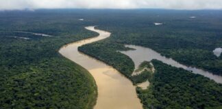 Justiça suspende contrato comercial em território indígena no Vale do Javari