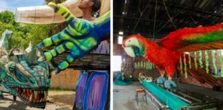 Festival das Araras celebra cultura e tradição da Vila Amazônia neste sábado, 25