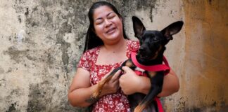 Vacinação antirrábica para cães e gatos segue em domicílio e pontos estratégicos de Manaus