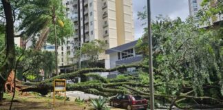 Fortes ventos deixam mais de 1,8 milhão de imóveis sem luz e causam caos em SP