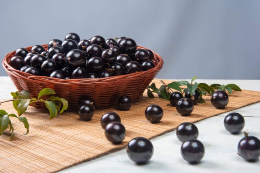 jabuticaba