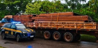 PRF apreende madeira transportada de maneira irregular na BR-319