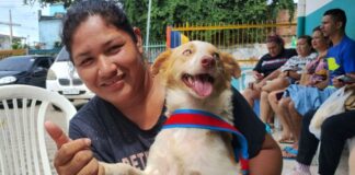 Manaus abre agendamento para castração de cães e gatos no CCZ de janeiro a março