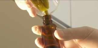 Novas normas da Anvisa ampliam acesso a terapias com cannabis no Brasil