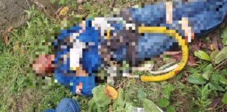 Trabalhador morre após cair de poste durante manutenção elétrica no Puraquequara
