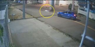 Motorista que atropelou idoso e fugiu é preso com grande quantidade drogas no Parque Dez