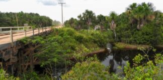 Trecho da BR-319 é interditado para reforma de ponte