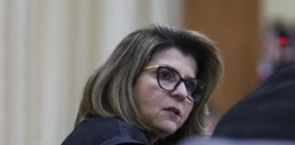Republicanos de Silas Câmara, Psol e Solidariedade são enquadrados pela desembargadora Nélia Caminha Jorge