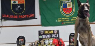 Cão policial encontra nove quilos de entorpecentes escondidos em embarcação