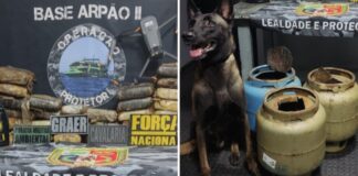 Cão policial encontra drogas escondidas em botijas de gás no Amazonas