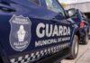 Guarda Municipal recolhe animal silvestre e identifica prática de queima ilegal de resíduos