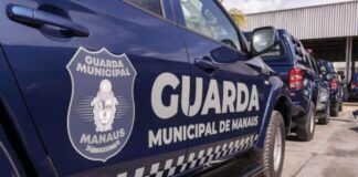 Guarda Municipal recolhe animal silvestre e identifica prática de queima ilegal de resíduos