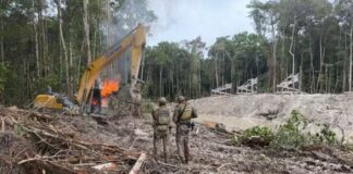 Operação destrói garimpo ilegal na Estação Ecológica Juami-Japurá