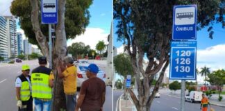 Novas placas de linhas de ônibus melhoram orientação de usuários na Ponta Negra