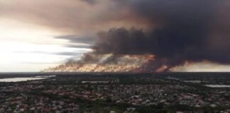 Fumaça de incêndio florestal escurece céu da Flórida nos EUA