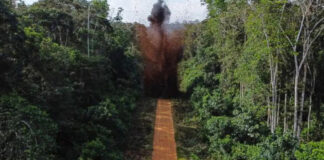 Pistas de pouso clandestinas aumentam na Amazônia