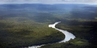 MPF pede suspensão de decreto que reduz áreas protegidas na Amazônia