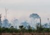 Operação Apoena amplia fiscalização e prevenção de incêndios na Amazônia