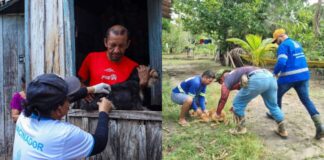 Manaus inicia nova etapa fluvial de vacinação antirrábica animal